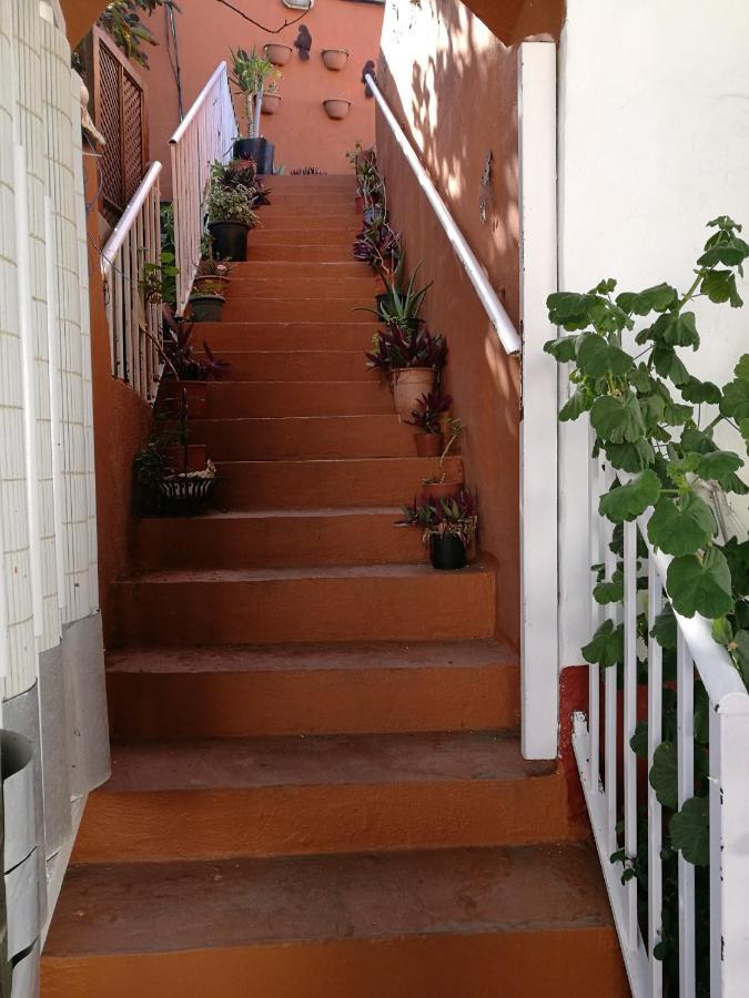 Residencia Los Conejos - Bike & Motorbike 라스팔마스 외부 사진