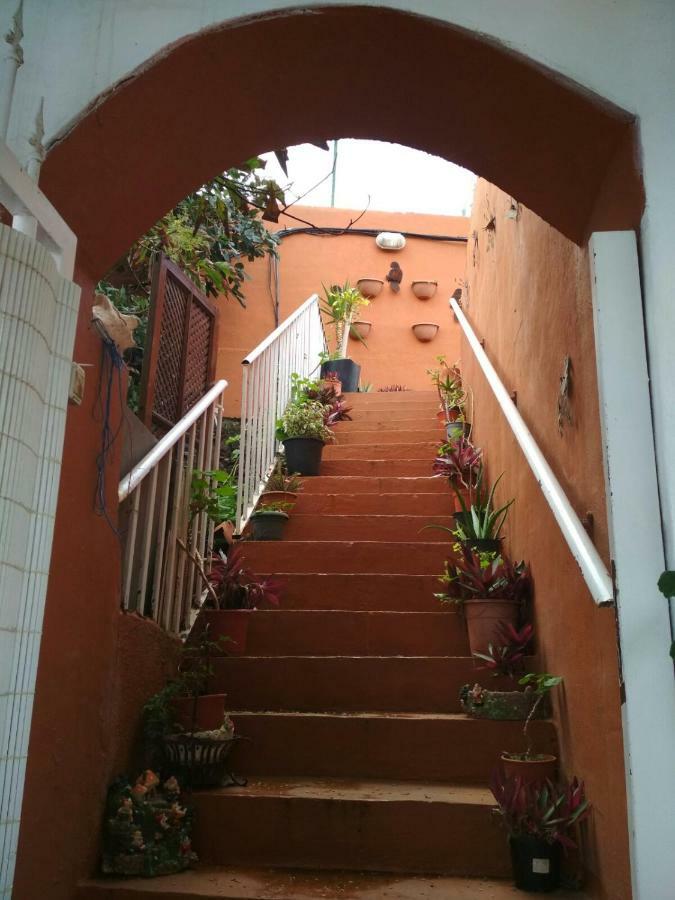 Residencia Los Conejos - Bike & Motorbike 라스팔마스 외부 사진